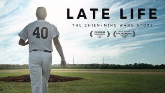 后劲：王建民,王建民的人生传奇